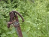 Third unknown house, yard faucet