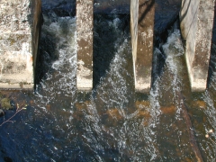 Looking down from the Lamington viaduct of the CRNJ