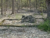 Ruins of picnic area near Donkey\'s Corners