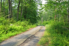 Old Dingmans and Sand Pond Roads