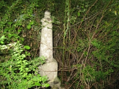 Henry grave, 1880